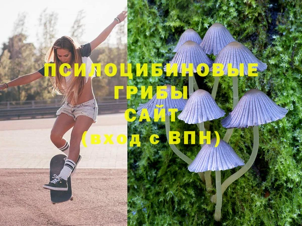 бошки Инсар