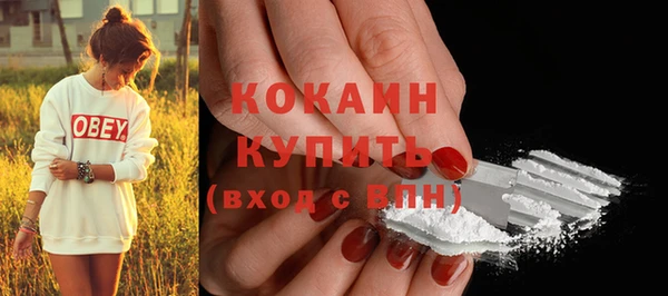 дмт Аркадак
