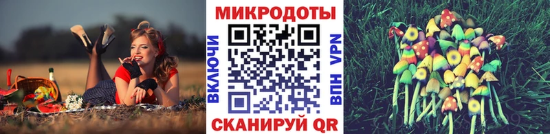 Псилоцибиновые грибы Psilocybe  Луга 